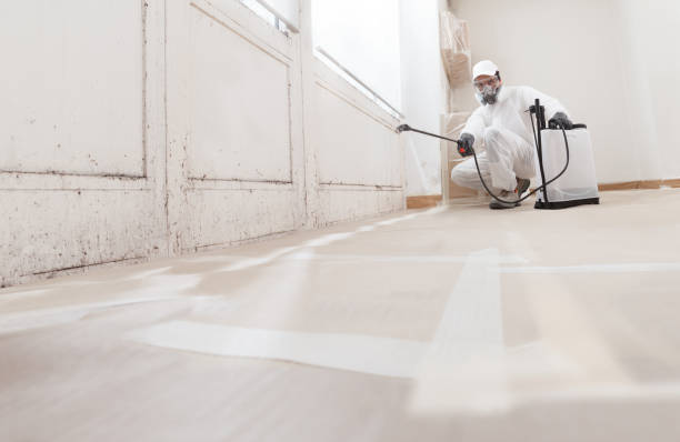 Trusted Attic Mold Removal service in Marbury, MD - WQB Mold Removal