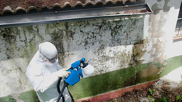 Top rated local Attic Mold Removal specialists in Marbury, MD